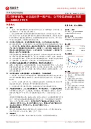 侨源股份点评报告：四川培育锂电、光伏成世界一流产业；公司受益新能源大发展