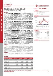 首次覆盖报告：热熔胶领先企业、紧抓光伏新机遇