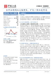 全年业绩同比大幅增长,矿化一体加速布局