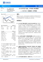 点评报告:云川公司过户完成,水电核心地位稳固