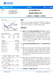 点评报告:水电实现量价齐升,新能源长期增长可期