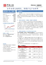 全年业绩大幅增长,持续扩充产品矩阵
