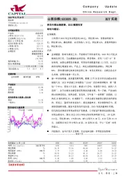 青花引领业绩高增，2022靓丽收官