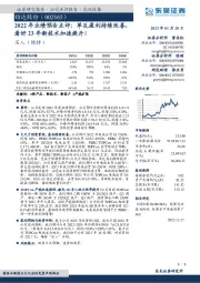 2022年业绩预告点评:单瓦盈利持续改善,看好23年新技术加速提升!
