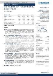 2022年业绩预告点评：电池组件深化布局，龙头进一步成长！