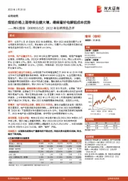 2022年业绩预告点评:煤铝价格上涨带来业绩大增,继续看好电解铝成本优势