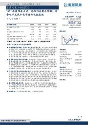 2022年报预告点评：年报预告符合预期，消费电子及汽车电子助力长期成长