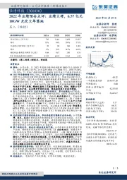 2022年业绩预告点评：业绩大增，6.57亿元10GW光伏大单落地