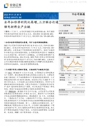 全年扣非净利同比高增，三方联合打通锂电材料全产业链