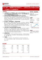中远海能2022年业绩预盈点评:2022扭亏,继续看好油运周期向上,全球油运龙头有望充分受益