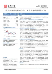 汽车业务剥离影响仍存,医疗业务稳健增长可期