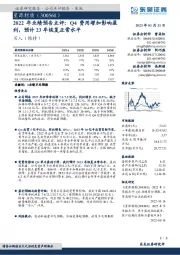 2022年业绩预告点评：Q4费用增加影响盈利，预计23年恢复正常水平