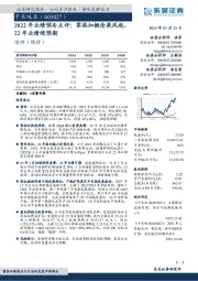 2022年业绩预告点评：零添加概念乘风起，22年业绩超预期