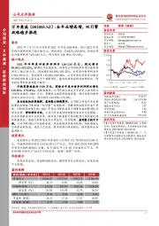 全年业绩高增,双引擎战略稳步推进