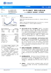 点评报告：2022年大幅减亏，静待火电盈利反转