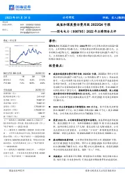2022年业绩预告点评:减值和煤炭整治费用致2022Q4亏损
