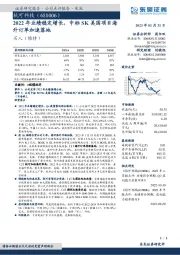 2022年业绩稳定增长，中标SK美国项目海外订单加速落地