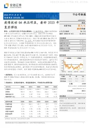 疫情扰动Q4承压明显，看好2023年复苏弹性