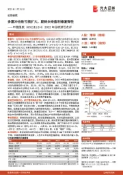 2022年业绩预亏点评：多重冲击致亏损扩大，期待未来盈利修复弹性