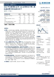 2022年业绩预告点评：Q4出货环比下滑，股权激励费用影响盈利水平