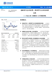 公司深度研究：高铁闸片龙头供应商，新材料平台化布局优势初