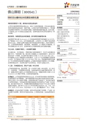 照明龙头横向纵向拓展迎来新机遇