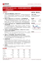 深度报告:综合能源民营龙头企业,未来煤电储能协同发展