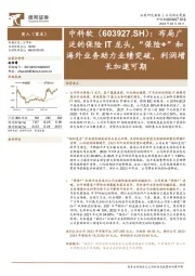 布局广泛的保险IT龙头,“保险+”和海外业务助力业绩突破,利润增长加速可期