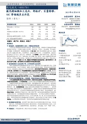 激光精细微加工龙头，钙钛矿、巨量转移、SiC等领域多点开花