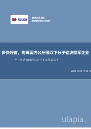 公司首次覆盖报告：多快好省，构筑国内公斤级以下分子砌块领军企业