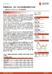 首次覆盖报告：背靠国家电网，云网一体化布局把握电网数字化转型