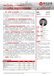 2022年业绩预告点评:2022业绩筑底,期待多点开花驱动业绩向上