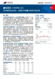 光伏铝挤压材龙头，拓展汽车轻量化和再生铝业务