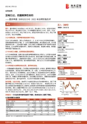 2022年业绩快报点评:至暗已过,把握高弹性标的
