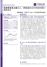 公司动态研究报告：深耕精密激光微加工，新能源和泛半导体有望打造新成长