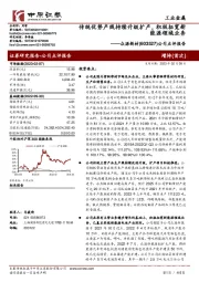 公司点评报告:传统优势产线持续升级扩产,积极拓宽新能源领域业务