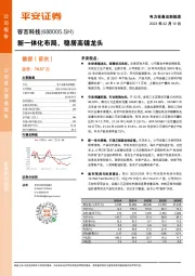 新一体化布局,稳居高镍龙头