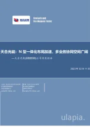 公司深度报告:N型一体化布局加速,多业务协同空间广阔