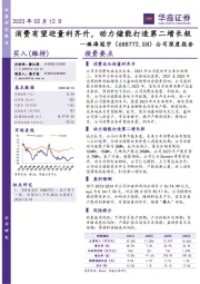 公司深度报告：消费有望迎量利齐升，动力储能打造第二增长极