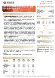 整体销量受春节假期影响同比下降，新能源车销量维持较高增长