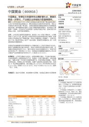 中国黄金：培育钻石有望带来业绩新增长点，渠道优势进一步深化，产业链及业务结构升级值得期待。