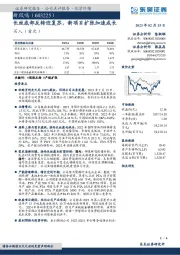 长丝底部反转迎复苏，新项目扩张加速成长