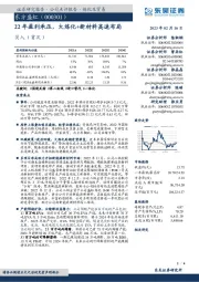 22年盈利承压，大炼化+新材料高速布局