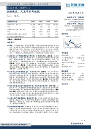 业绩承压,文莱项目再起航