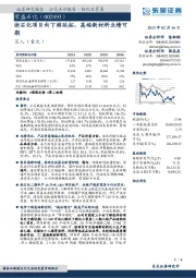 浙石化项目向下游延拓，高端新材料业绩可期