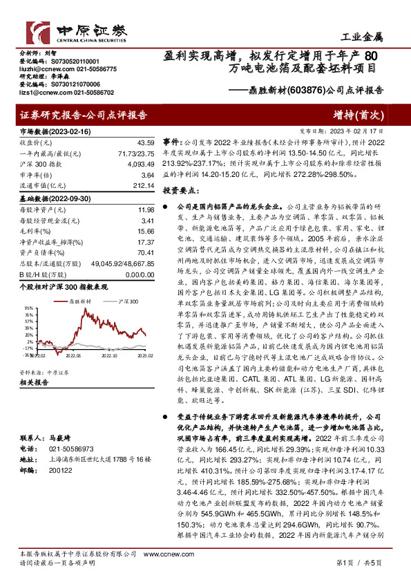 公司点评报告：盈利实现高增，拟发行定增用于年产80万吨电池箔及配套坯料项目
