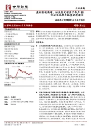 公司点评报告:盈利实现高增,拟发行定增用于年产80万吨电池箔及配套坯料项目