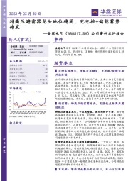 公司事件点评报告:特高压避雷器龙头地位稳固,充电桩+储能蓄势待发