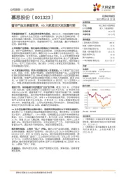 看好产品及渠道变革,V6大家居及沙发放量可期