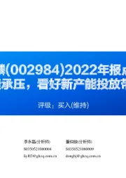 2022年报点评:Q4业绩承压,看好新产能投放带来增量